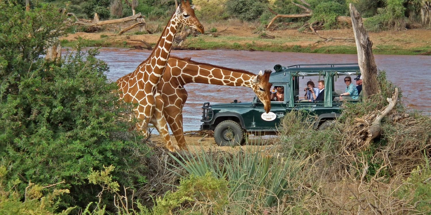 3 day samburu safari